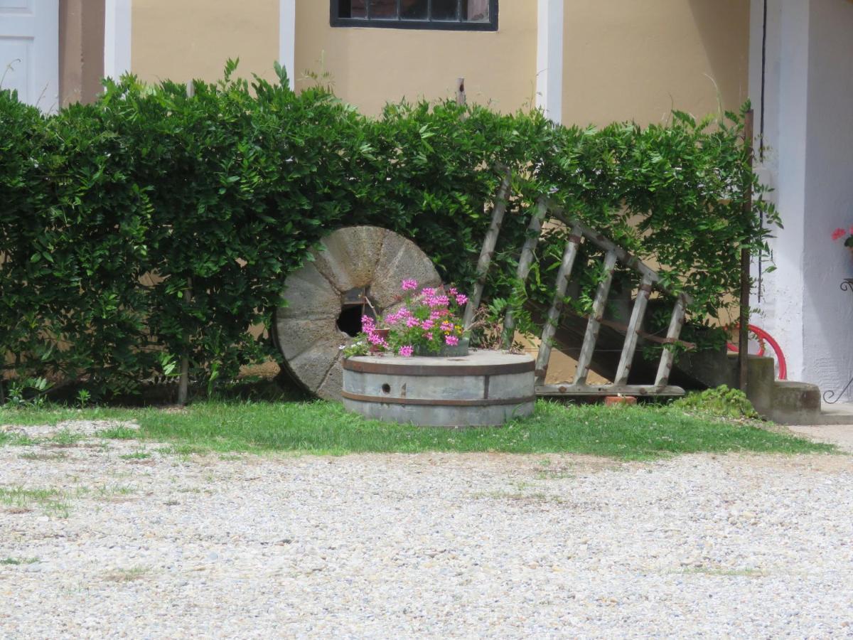 Mill House Apartment And Camping 柳托梅尔 外观 照片