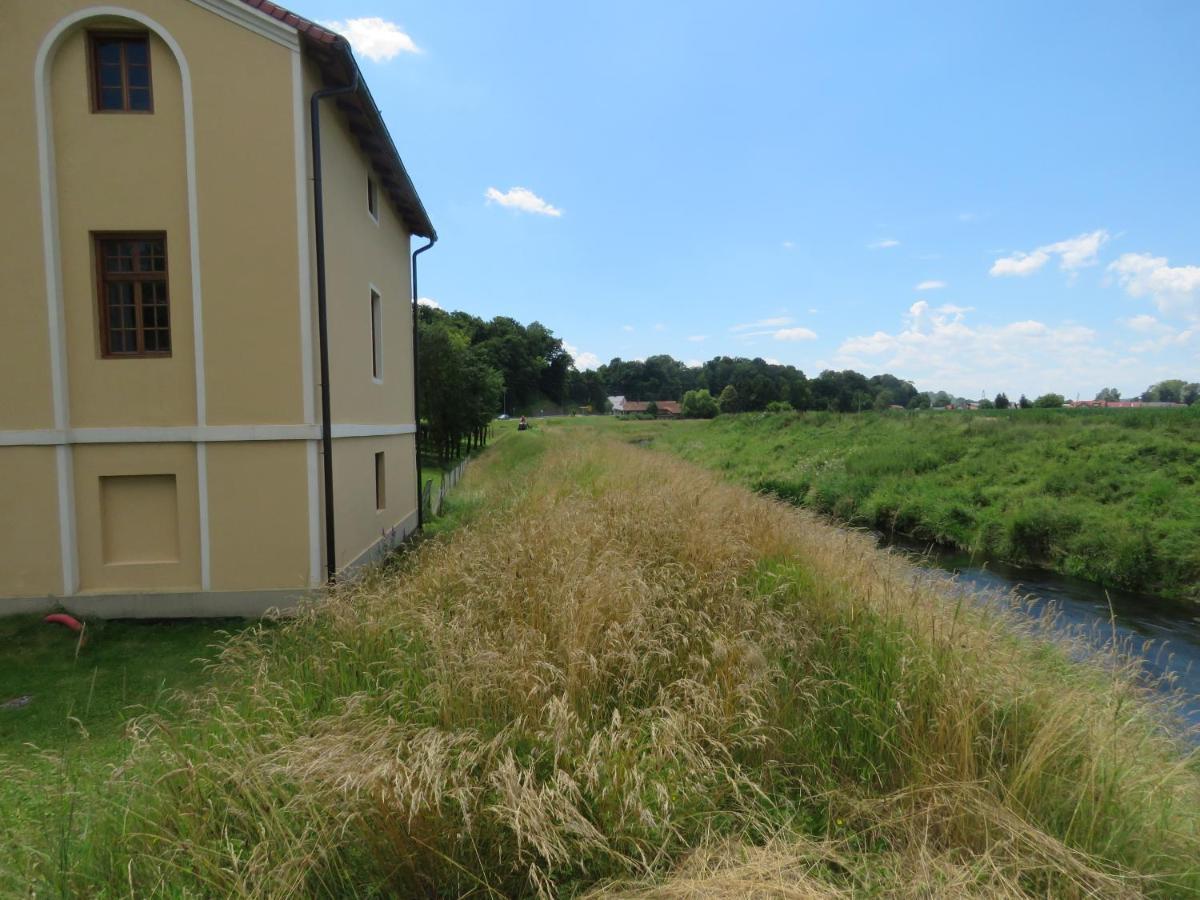Mill House Apartment And Camping 柳托梅尔 外观 照片